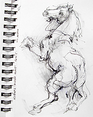 Horse study